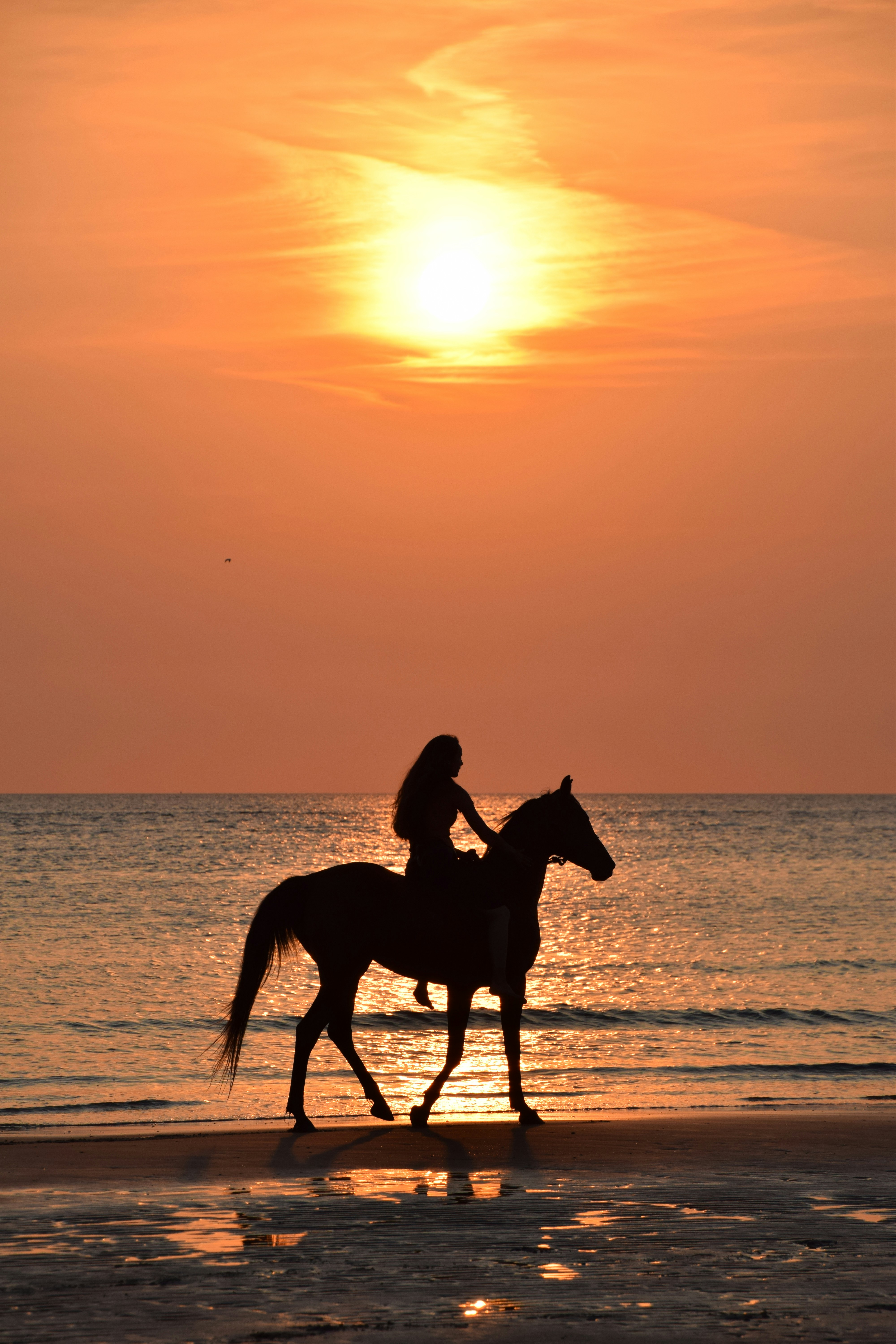 Balade à cheval